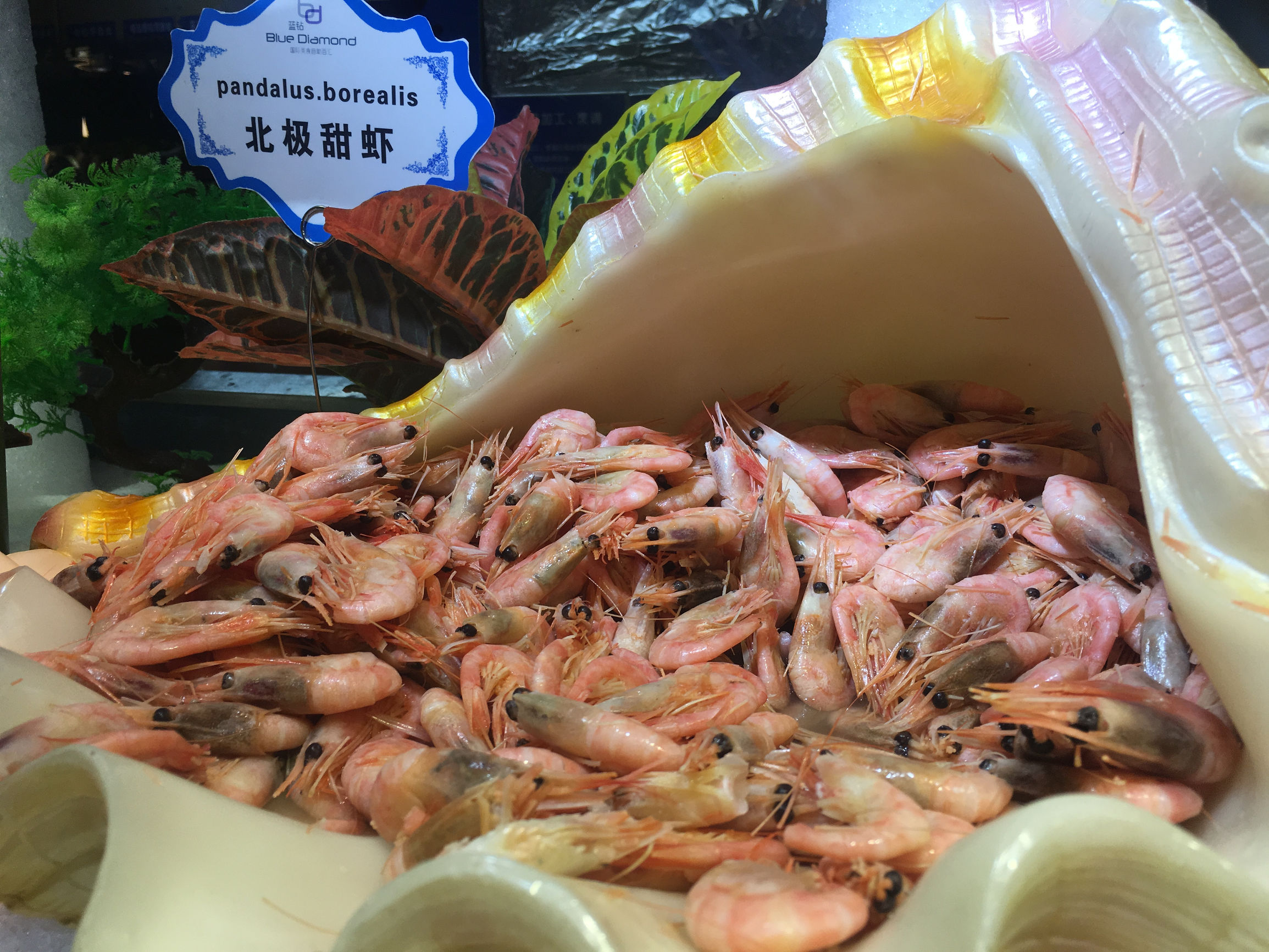 生日答谢宴全过程,生日宴聚餐首选