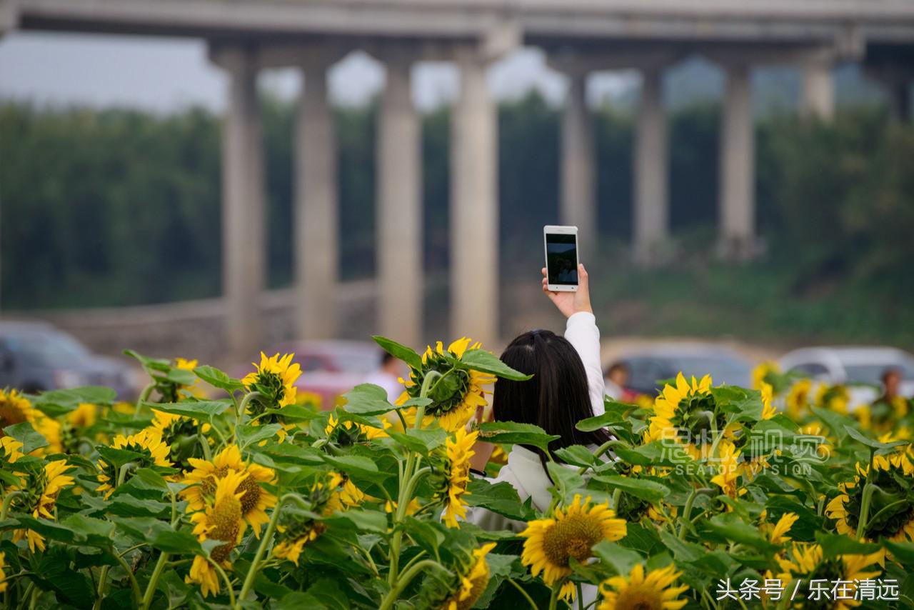 聚美金沙滩附近哪里好玩,聚美金沙滩攻略