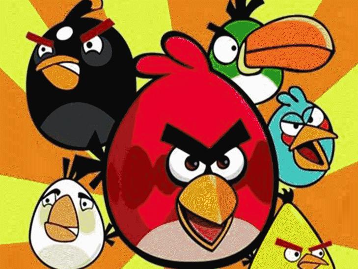 百鸟展门票,百鸟展门票早鸟票