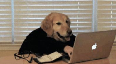 狗狗拉稀是因为喝了人类牛奶吗,狗狗便血还能吃狗粮吗