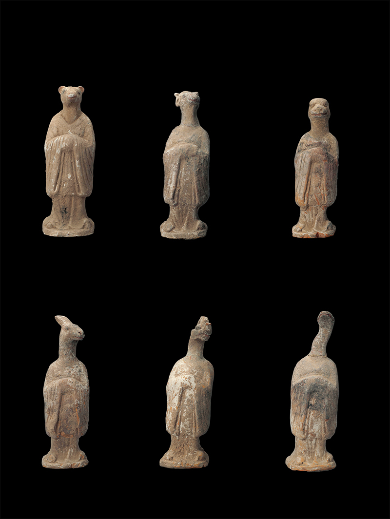 二年级十二生肖天干地支如何解释,十二生肖的五行天干地支各是什么