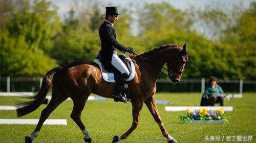 世界10大体育运动,在中国最受欢迎的十大体育运动