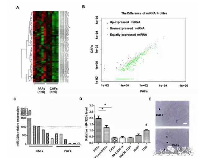 国自然标书参考文献格式,国自然标书引用参考文献的格式