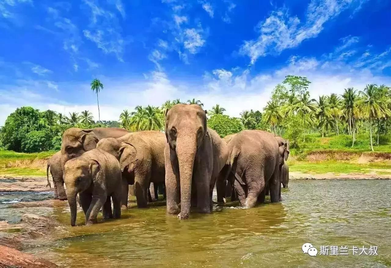 鏂噷鍏板崱鍦ｅ煄搴锋彁,鏂噷鍏板崱鍦ｅ煄搴锋彁椋庢櫙