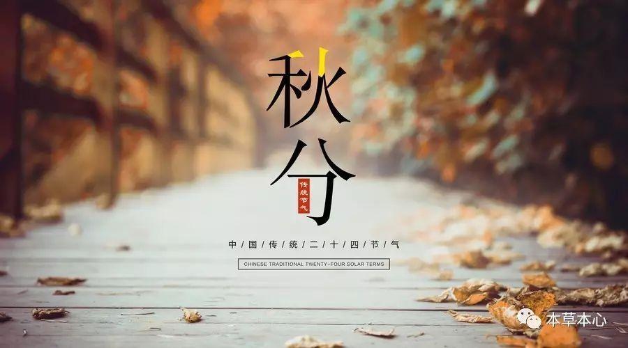 踏秋时节，雨霏霏，明日就是秋分