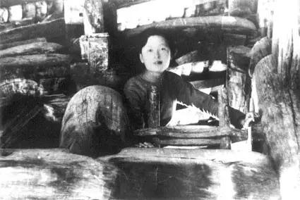 林徽因拯救濒危景泰蓝,林徽因参与景泰蓝工艺革新了吗