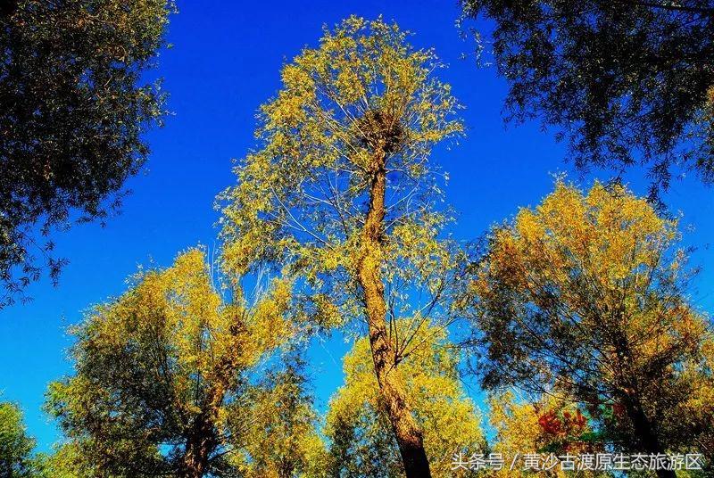 国庆节假期去宁夏旅游需要准备什么,国庆节宁夏三天两晚旅游攻略