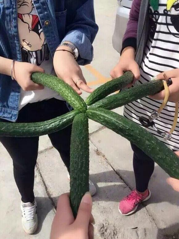 兔子是正经兔子，老爷爷比较意外