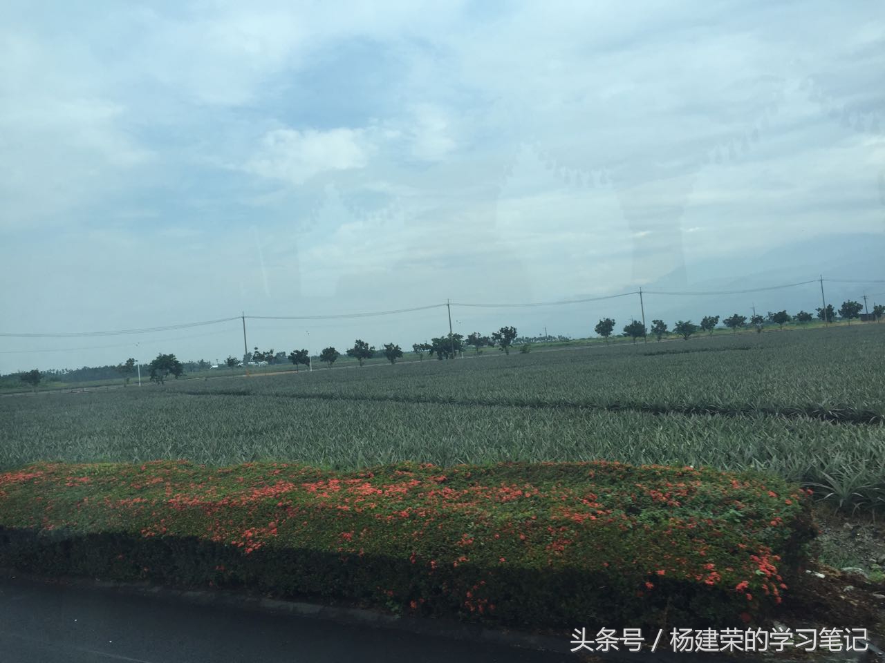 台湾游记最新预告,台湾游记完整版