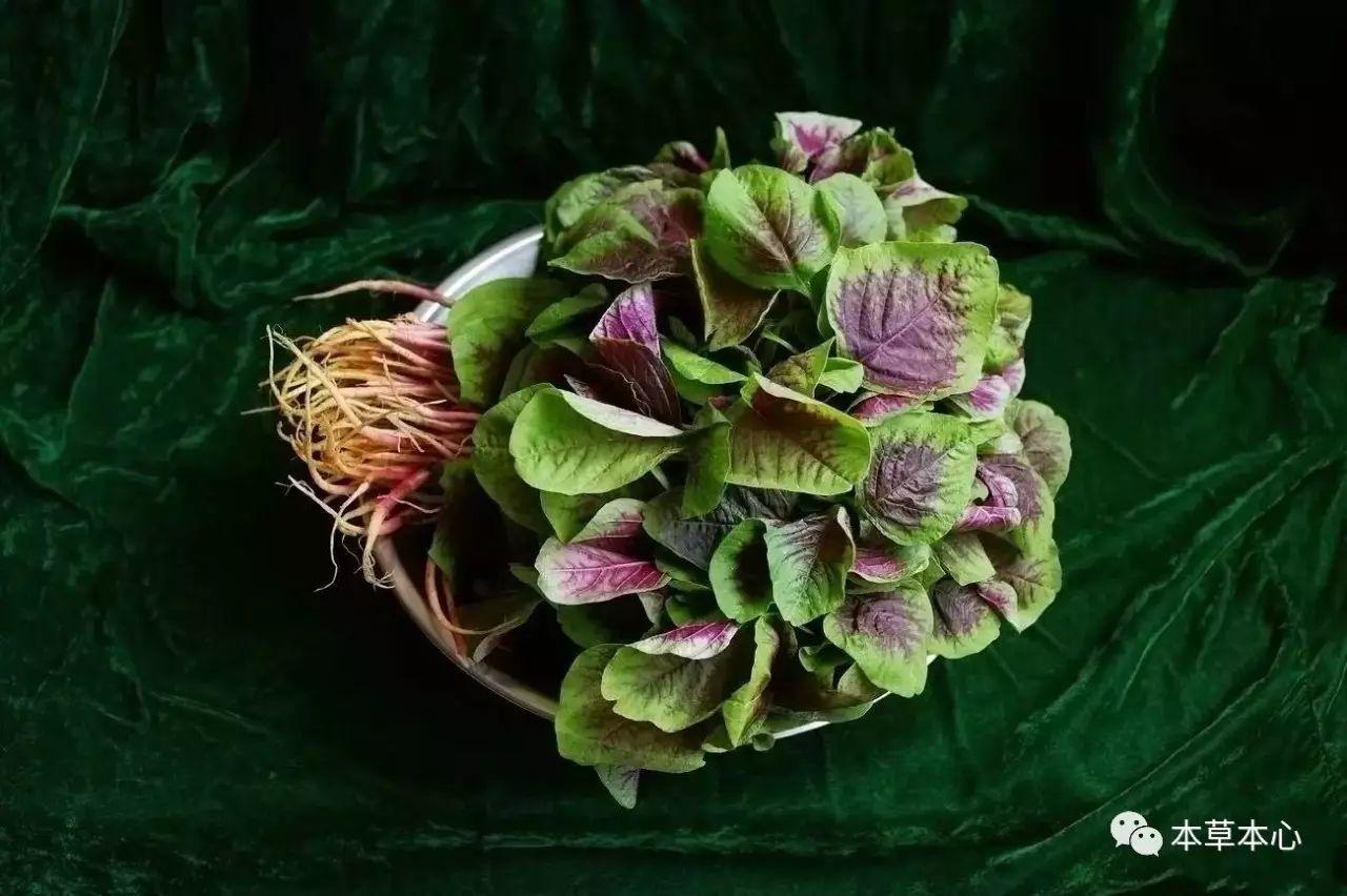 踏秋时节，雨霏霏，明日就是秋分