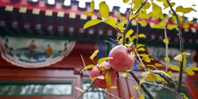 中式酒店典藏版｜50家最美中式酒店