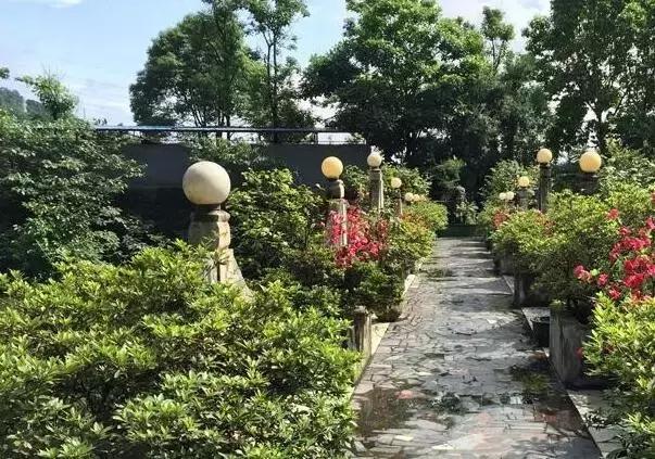 精选南岸嘿巴适农家乐，这个国庆节有得耍，让你嗨到不想回家！