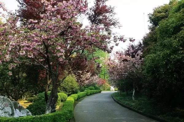 精选南岸嘿巴适农家乐，这个国庆节有得耍，让你嗨到不想回家！