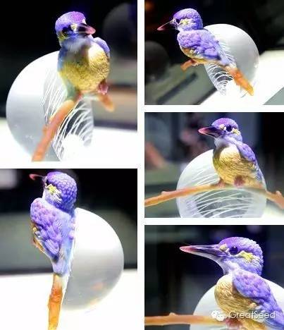 江苏省非遗精品展,国家非遗展览