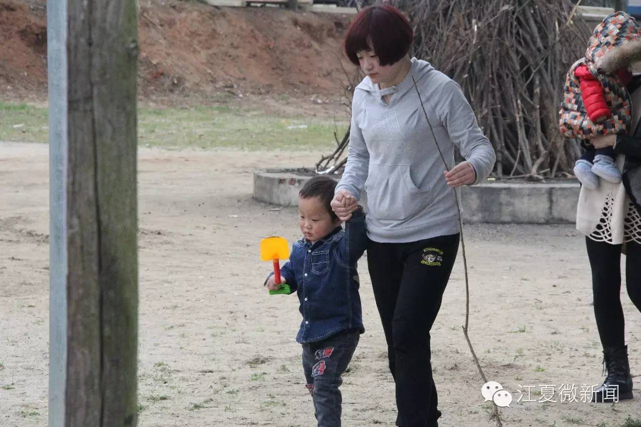 亲子植树活动信息,社区亲子植树活动