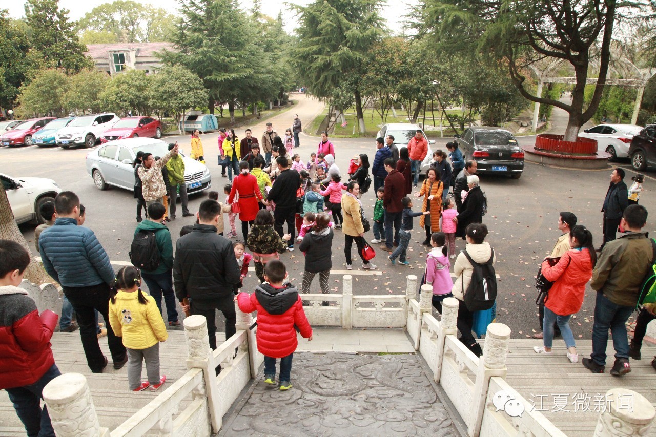 亲子植树活动信息,社区亲子植树活动