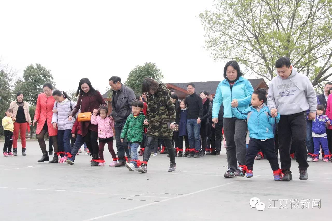 亲子植树活动信息,社区亲子植树活动