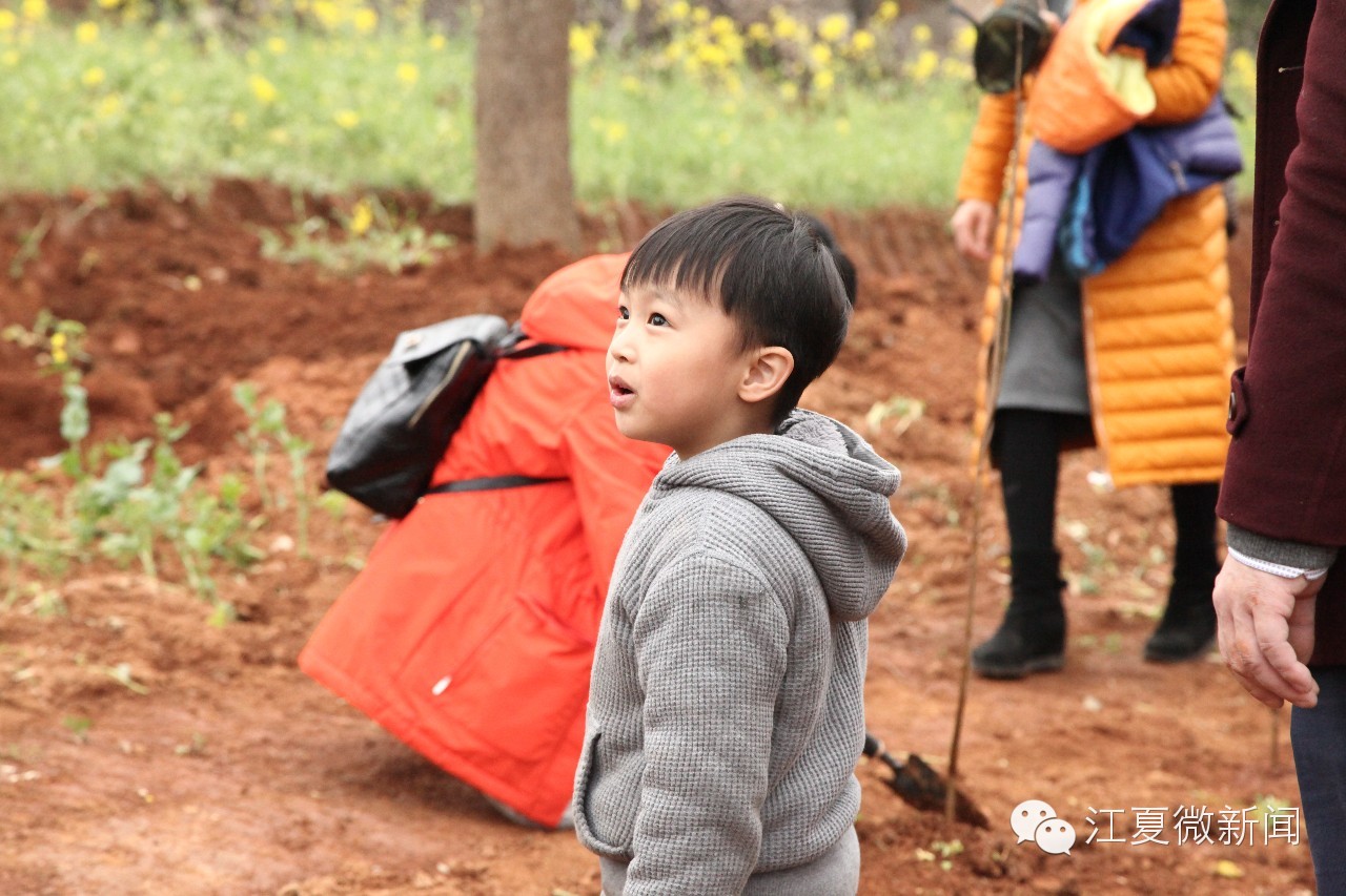 亲子植树活动信息,社区亲子植树活动