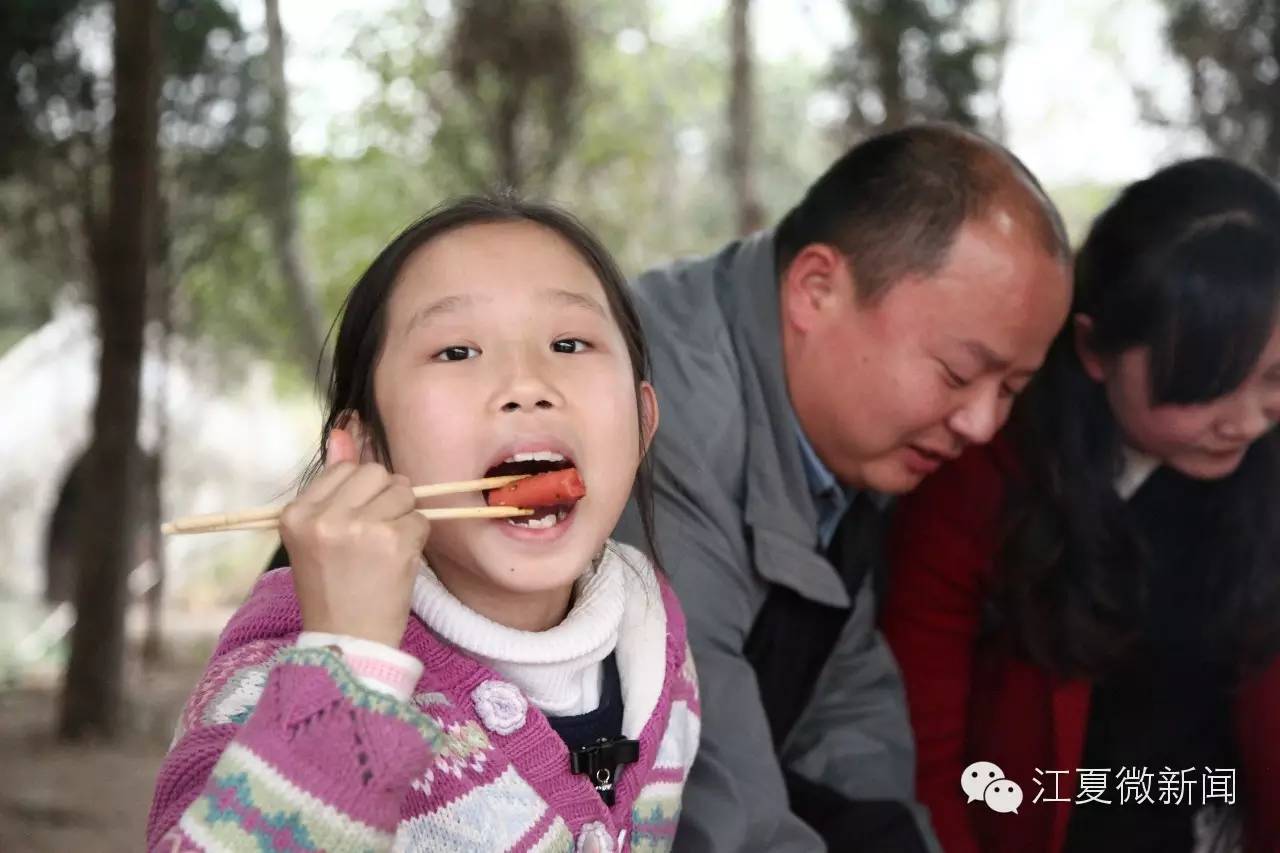 亲子植树活动信息,社区亲子植树活动