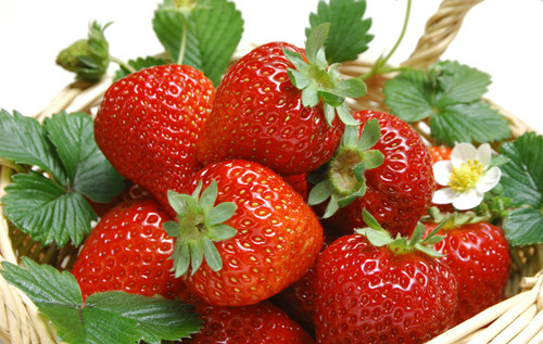 如何辨别洋水果真假,洋水果真假鉴定方法