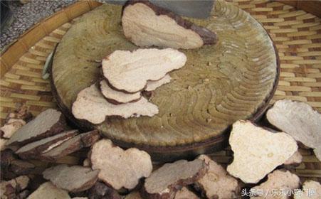 防脱发的食疗小方法,两个食疗方有效改善中年脱发