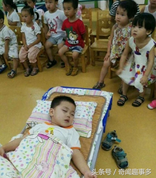 天王盖地虎，这tm真的一米吧，不过做她的猫真幸福