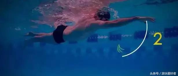 自由泳划水动作练习讲解,一看就会的自由泳划水的标准技巧