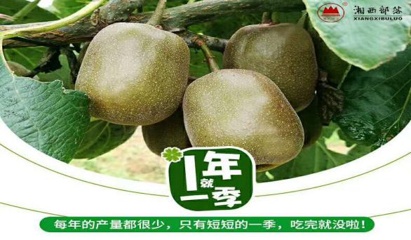 湘菜特点加盟连锁品牌,湘西土家族苗族湘菜名店加盟条件