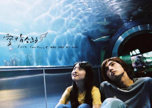 林依晨演过最经典的电视剧有哪些,盘点林依晨主演过的13部电视剧