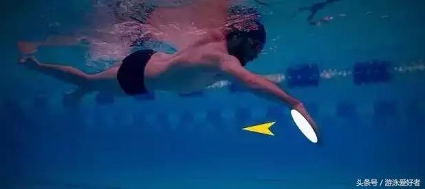 自由泳划水动作练习讲解,一看就会的自由泳划水的标准技巧