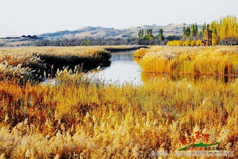 国庆节假期去宁夏旅游需要准备什么,国庆节宁夏三天两晚旅游攻略