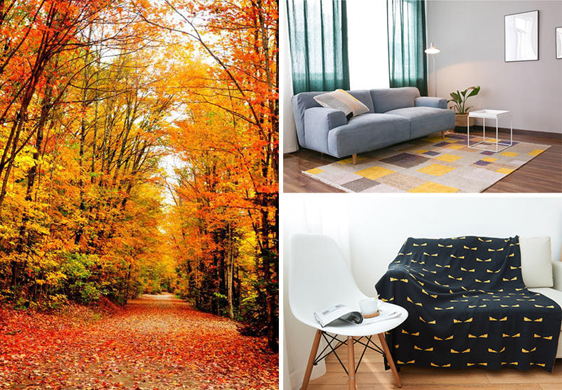 以秋色偎暖意，擅用理论饰潮家