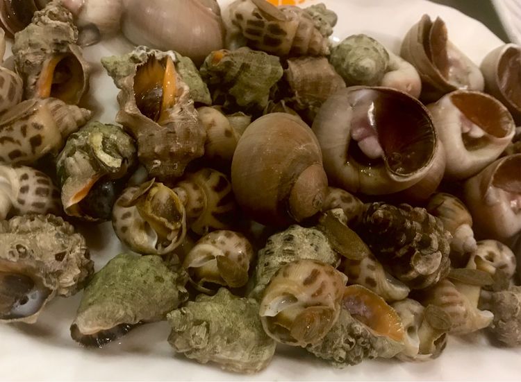 舟山沈家门海鲜东海,舟山沈家门海鲜大排档排名