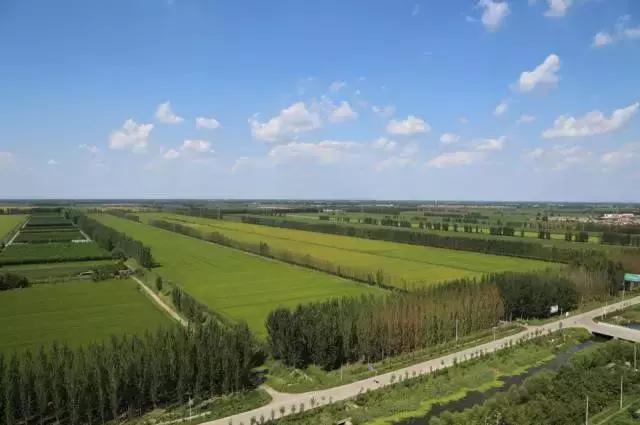 今非昔比的“飞地”！唐山芦台、汉沽双双登上《河北日报》头版头条！