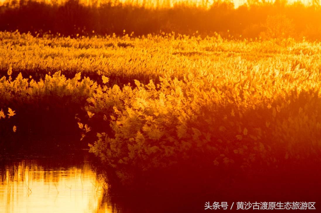 国庆节假期去宁夏旅游需要准备什么,国庆节宁夏三天两晚旅游攻略