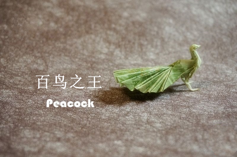 手工折纸鱿鱼的视频,幼儿园手工折纸视频