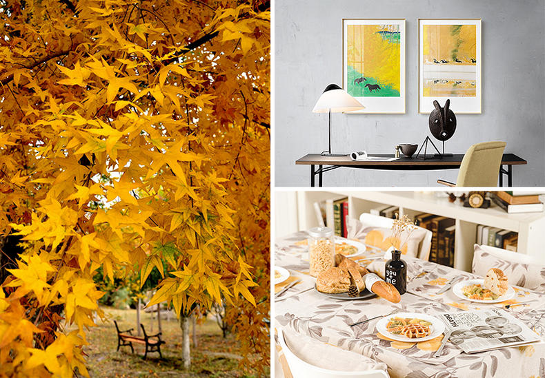 以秋色偎暖意，擅用理论饰潮家