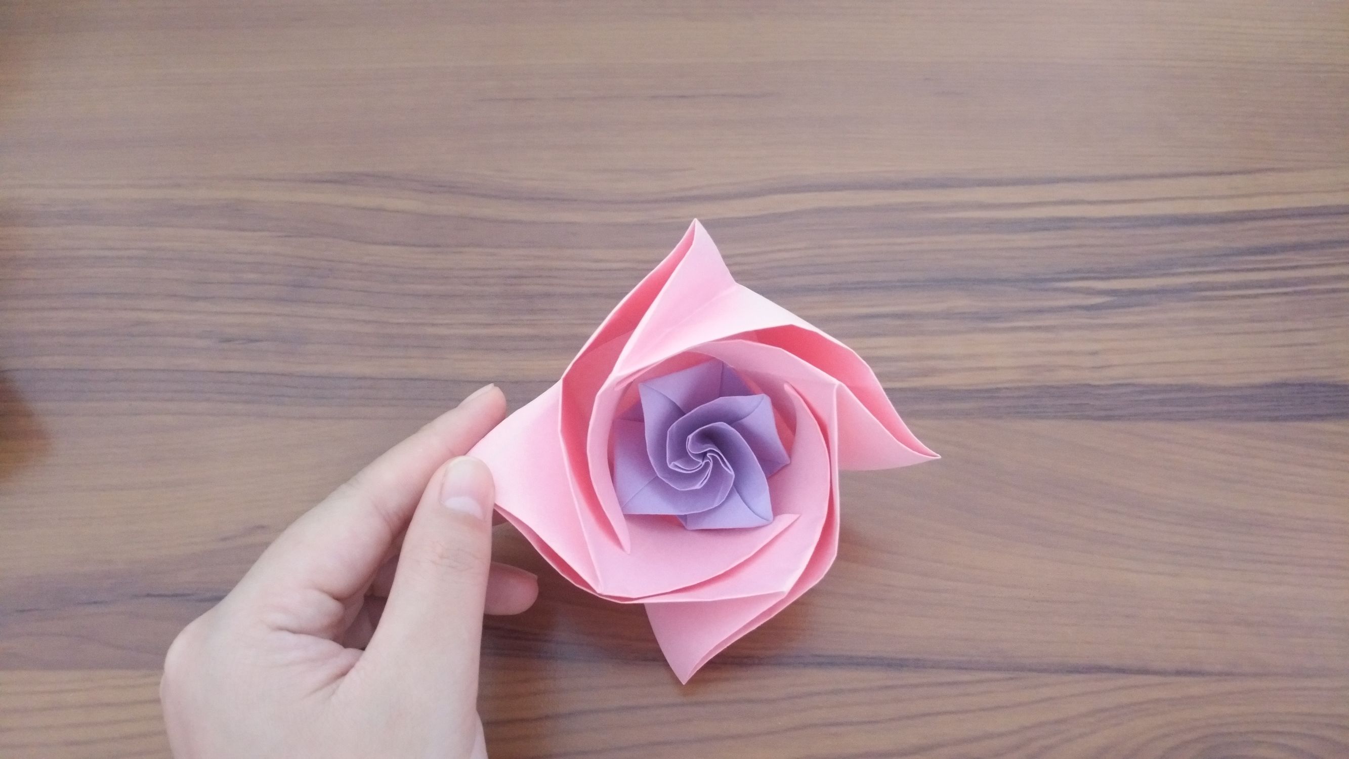 手工折纸鱿鱼的视频,幼儿园手工折纸视频