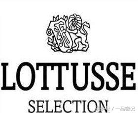 世界十大户外品牌鞋排名,世界越野鞋前十名品牌及国家