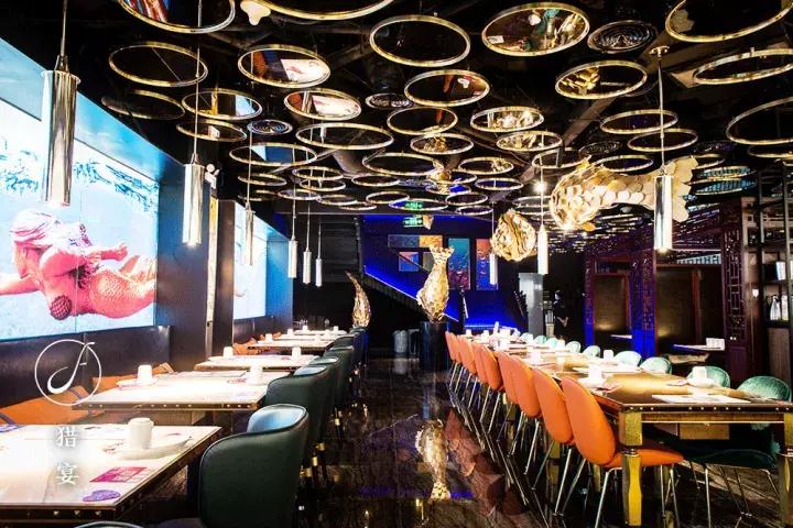 上海中山公园周末玩乐推荐,上海中山公园鱼