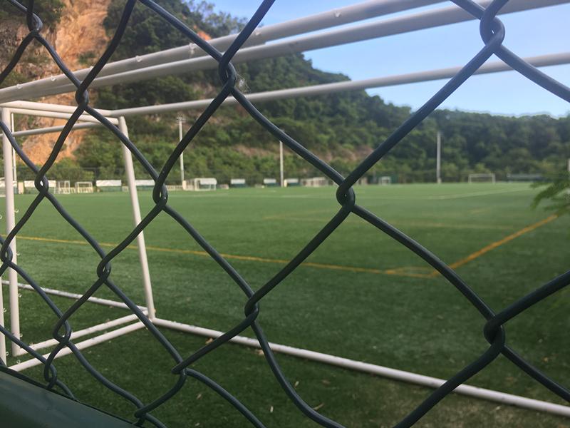 深圳有森林的公园,深圳藏在森林里的游乐园