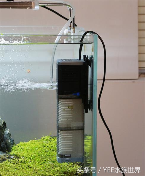底滤鱼缸如何打造强大的过滤系统,鱼缸底滤和背滤哪个过滤效果更好