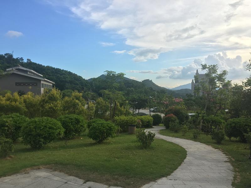 深圳有森林的公园,深圳藏在森林里的游乐园