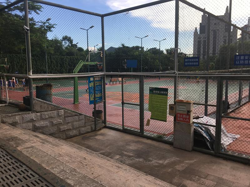 深圳有森林的公园,深圳藏在森林里的游乐园