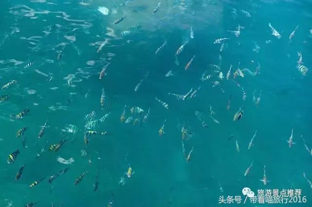 三亚旅行五天四晚旅游攻略,三亚三晚四天旅行攻略大全最新版