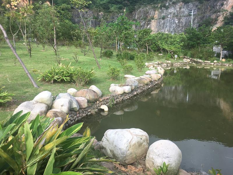 深圳有森林的公园,深圳藏在森林里的游乐园