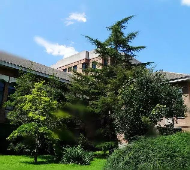 去清华北大参观的方法,去北大清华参观攻略