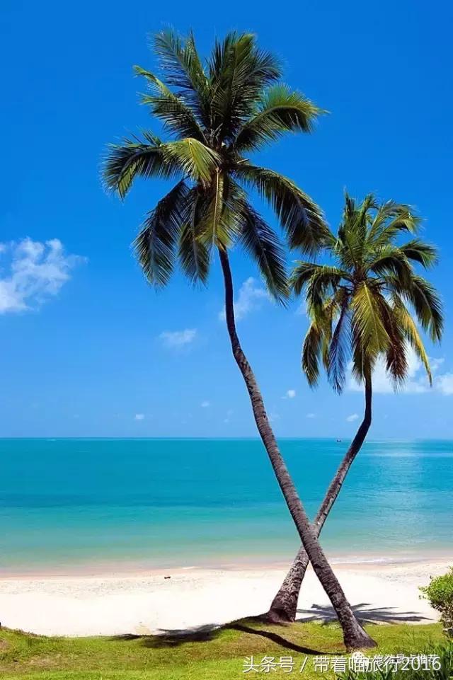 三亚旅行五天四晚旅游攻略,三亚三晚四天旅行攻略大全最新版