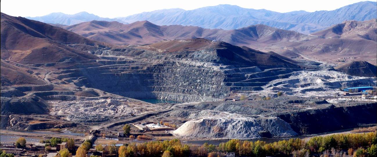 狗狗在山上救回来一只野猪,爱犬勇斗野猪