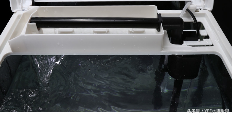 底滤鱼缸如何打造强大的过滤系统,鱼缸底滤和背滤哪个过滤效果更好